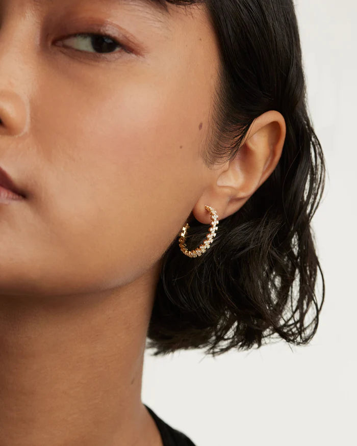 crown gold earrings