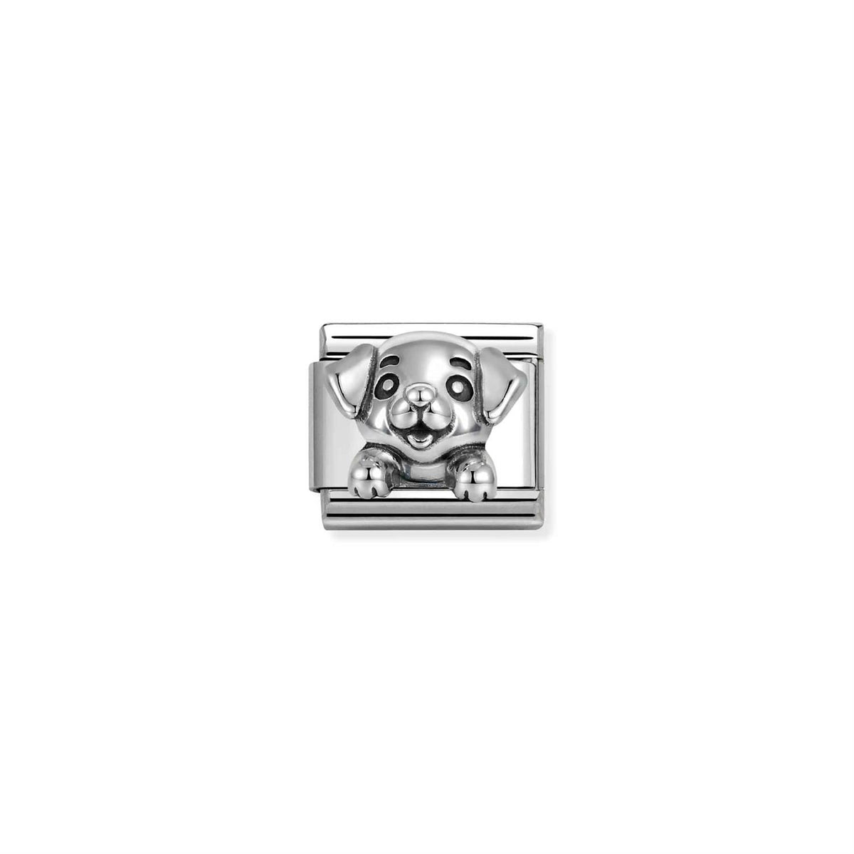 Silver Dog