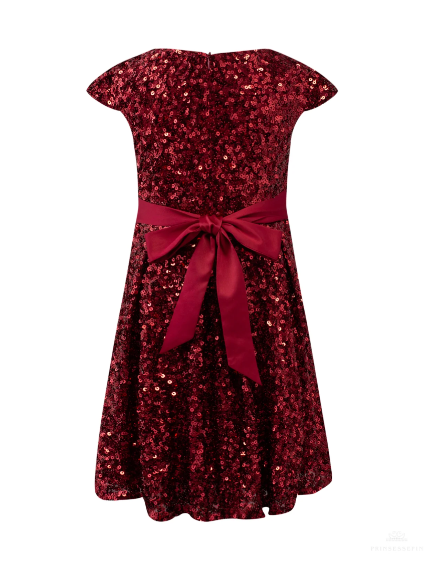 Sequin Dress Wine