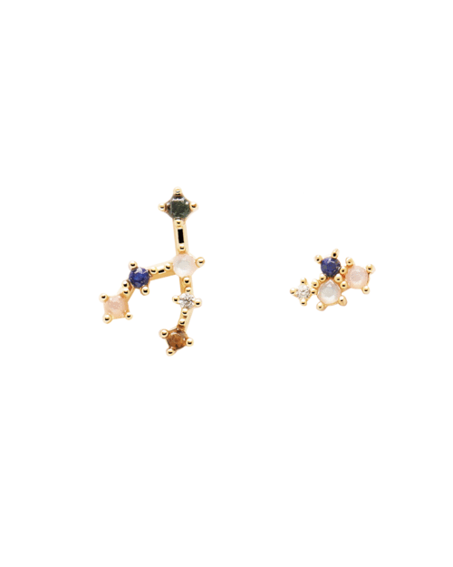 Taurus Earrings